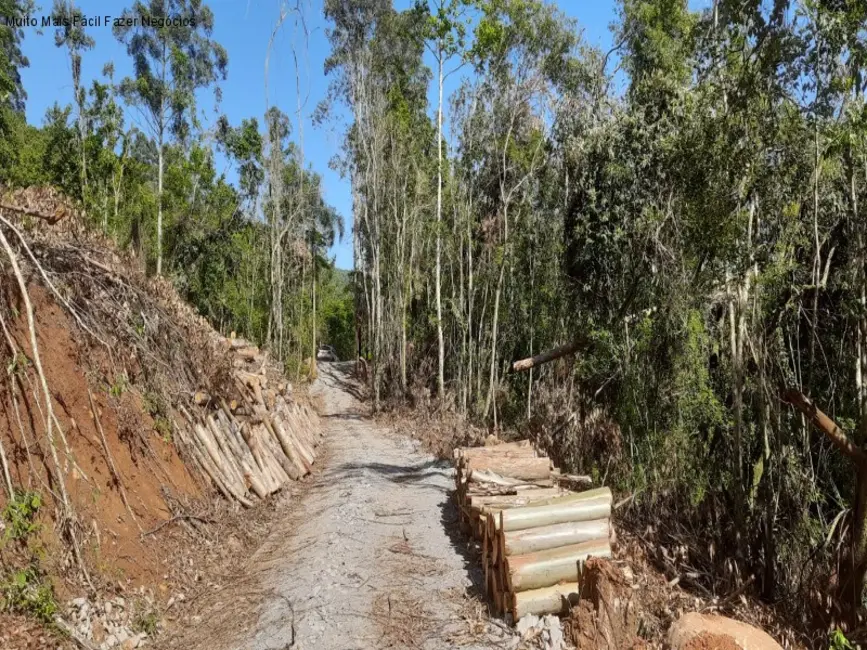 Foto 5 de Sítio / Rancho com 1 quarto à venda, 31m2 em Nova Petropolis - RS