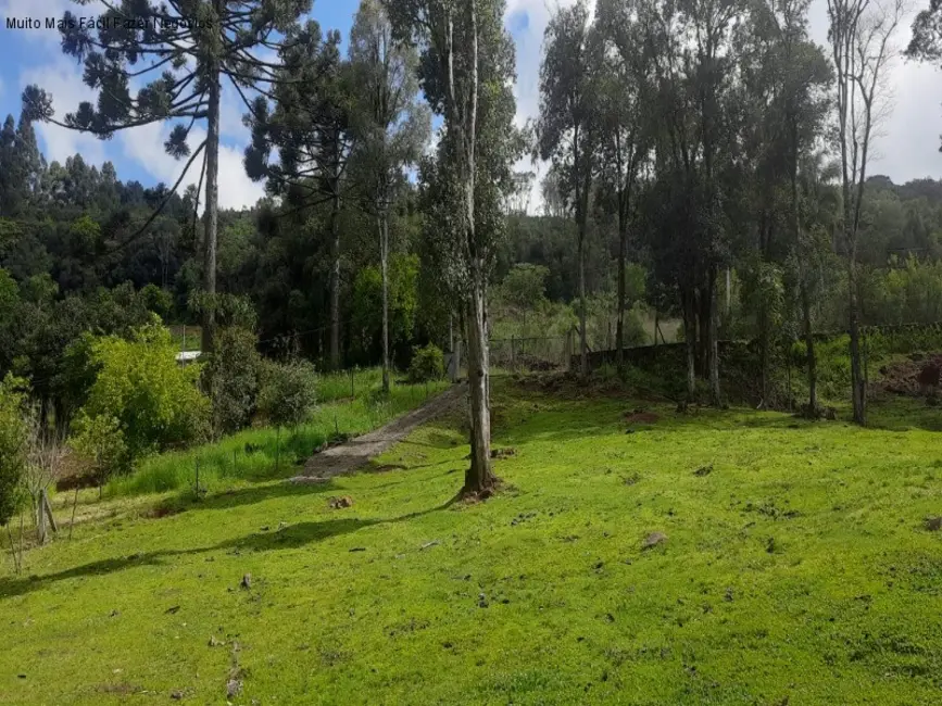 Foto 2 de Terreno / Lote à venda em Nova Petropolis - RS