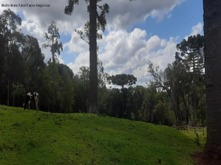 Terreno / Lote à venda em Nova Petropolis - RS - imagem 5 Foto 5 de Terreno / Lote à venda em Nova Petropolis - RS