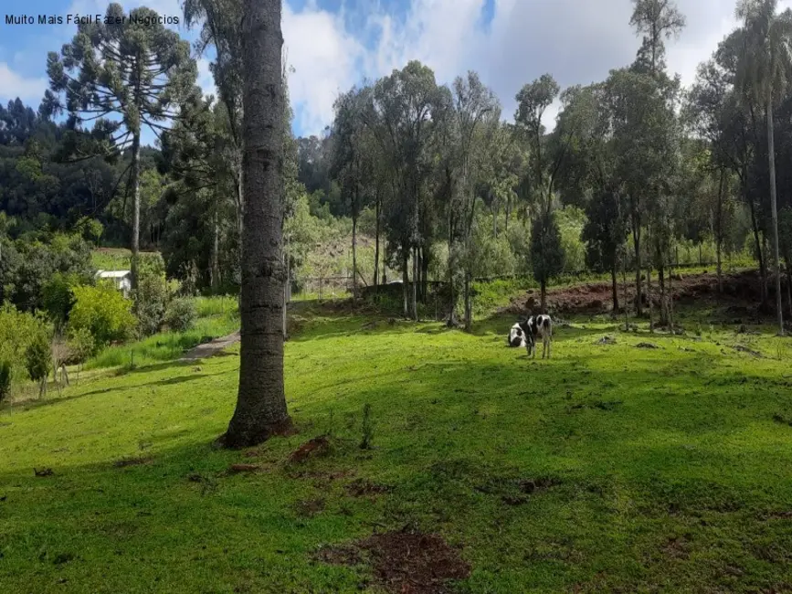 Terreno / Lote à venda em Nova Petropolis - RS - imagem 4 Foto 4 de Terreno / Lote à venda em Nova Petropolis - RS
