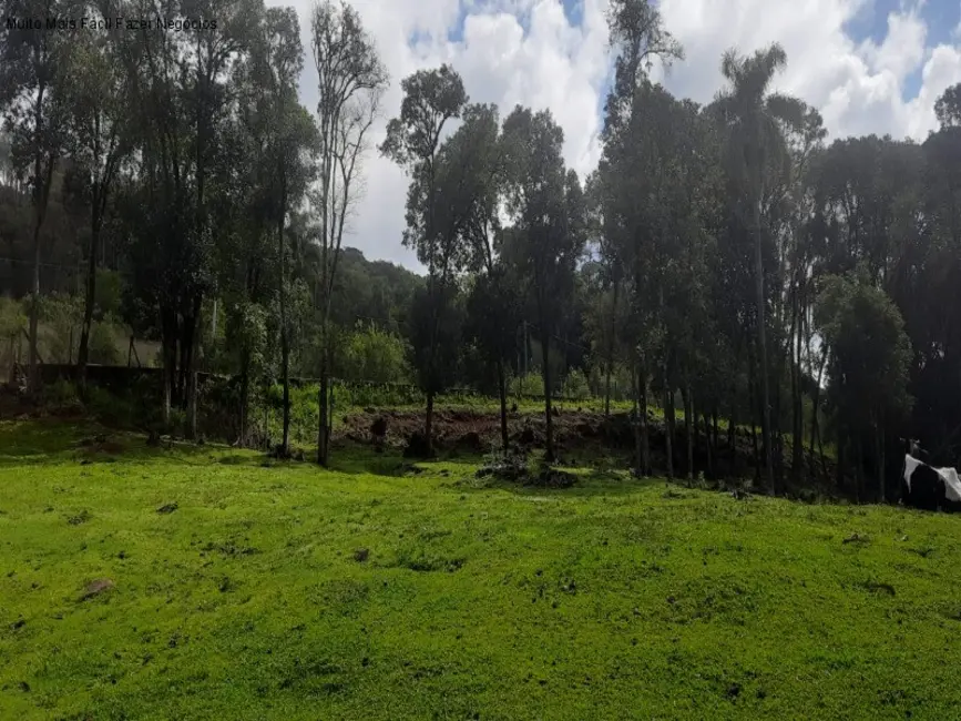 Terreno / Lote à venda em Nova Petropolis - RS - imagem 3 Foto 3 de Terreno / Lote à venda em Nova Petropolis - RS