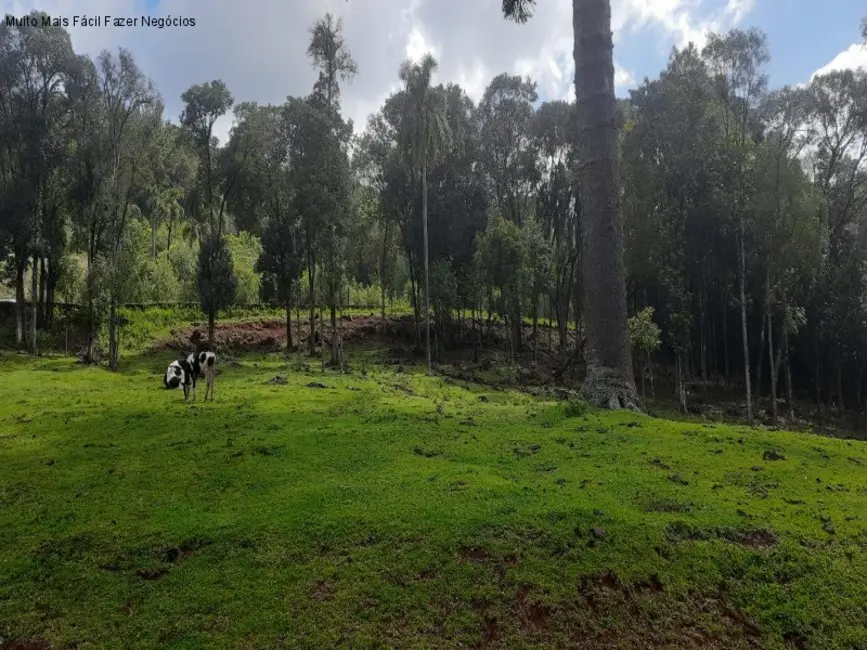 Terreno / Lote à venda em Nova Petropolis - RS - imagem 6 Foto 6 de Terreno / Lote à venda em Nova Petropolis - RS