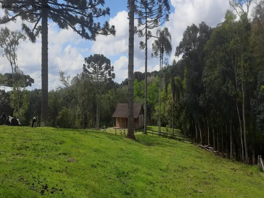 Terreno / Lote à venda em Nova Petropolis - RS - imagem 8 Foto 8 de Terreno / Lote à venda em Nova Petropolis - RS