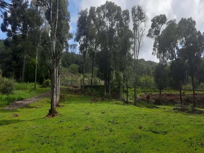 Terreno / Lote à venda em Nova Petropolis - RS - imagem 7 Foto 7 de Terreno / Lote à venda em Nova Petropolis - RS