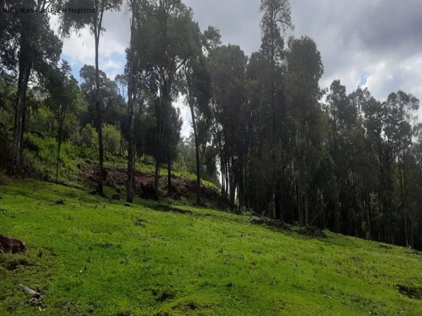 Terreno / Lote à venda em Nova Petropolis - RS - imagem 9 Foto 9 de Terreno / Lote à venda em Nova Petropolis - RS