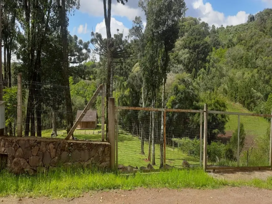 Sítio / Rancho com 1 quarto à venda, 80m2 em Nova Petropolis - RS - imagem 6 Foto 6 de Sítio / Rancho com 1 quarto à venda, 80m2 em Nova Petropolis - RS