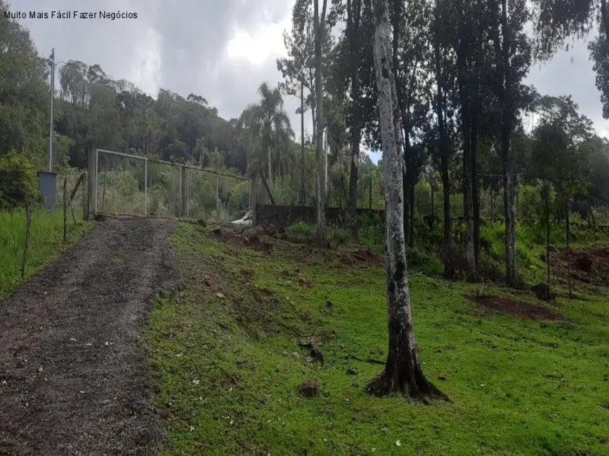 Sítio / Rancho com 1 quarto à venda, 80m2 em Nova Petropolis - RS - imagem 4 Foto 4 de Sítio / Rancho com 1 quarto à venda, 80m2 em Nova Petropolis - RS