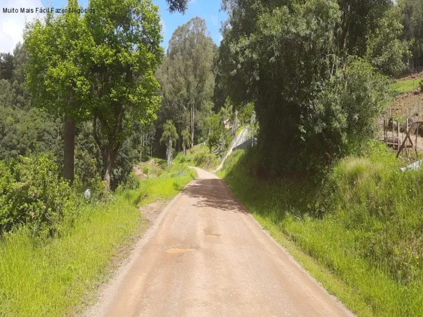 Sítio / Rancho com 1 quarto à venda, 80m2 em Nova Petropolis - RS - imagem 2 Foto 2 de Sítio / Rancho com 1 quarto à venda, 80m2 em Nova Petropolis - RS