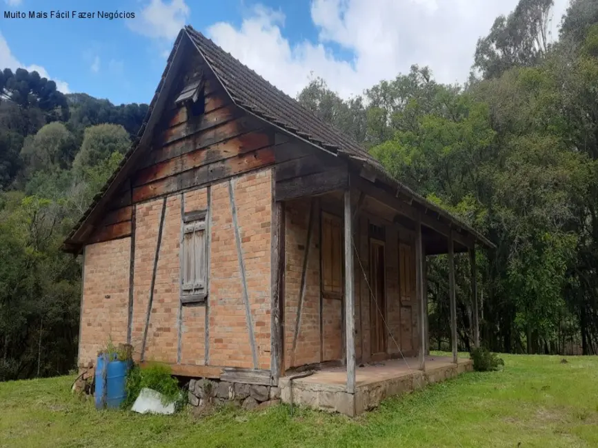 Foto 1 de Sítio / Rancho com 1 quarto à venda, 80m2 em Nova Petropolis - RS
