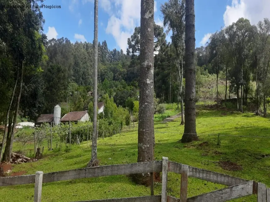 Sítio / Rancho com 1 quarto à venda, 80m2 em Nova Petropolis - RS - imagem 9 Foto 9 de Sítio / Rancho com 1 quarto à venda, 80m2 em Nova Petropolis - RS
