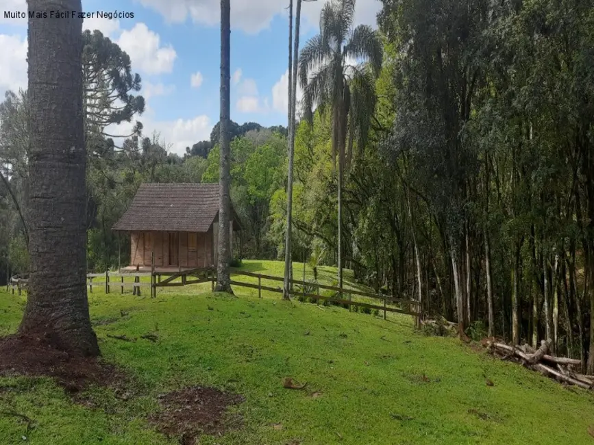 Sítio / Rancho com 1 quarto à venda, 80m2 em Nova Petropolis - RS - imagem 5 Foto 5 de Sítio / Rancho com 1 quarto à venda, 80m2 em Nova Petropolis - RS