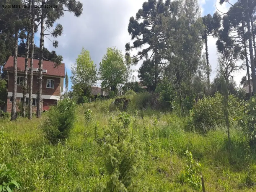 Foto 1 de Terreno / Lote à venda, 554m2 em Nova Petropolis - RS