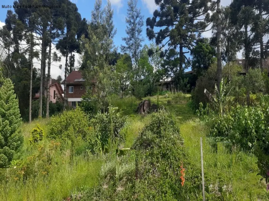 Foto 1 de Terreno / Lote à venda, 555m2 em Nova Petropolis - RS