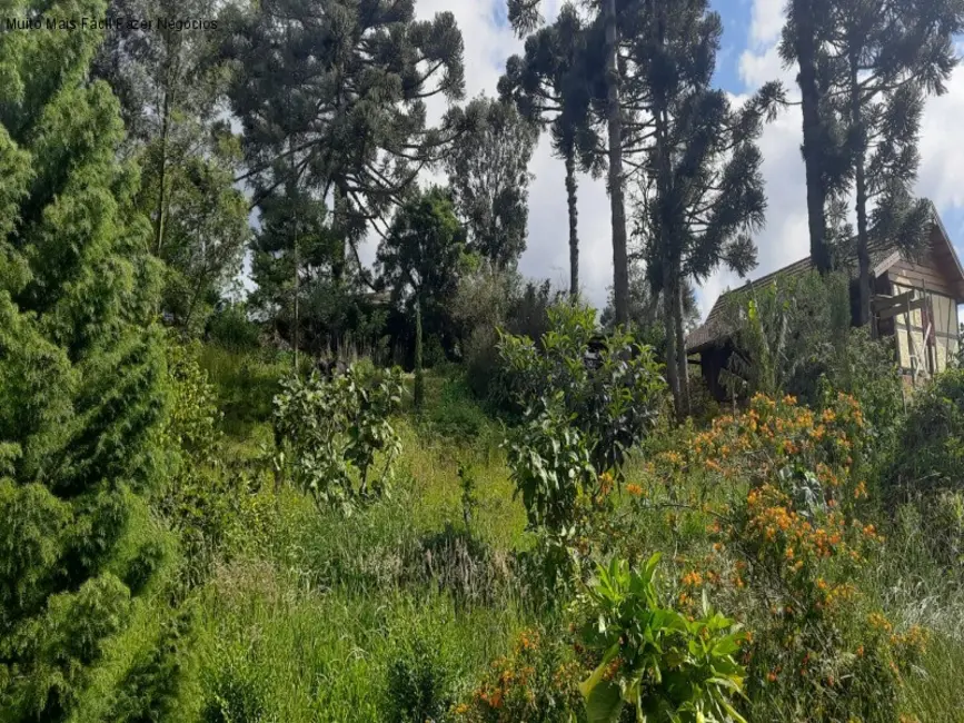 Foto 1 de Terreno / Lote à venda, 561m2 em Nova Petropolis - RS