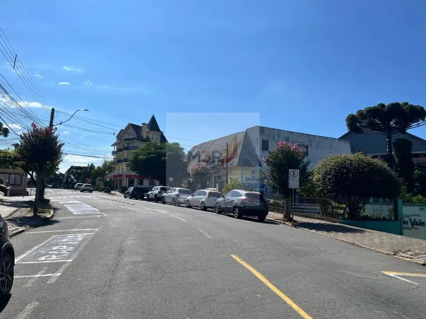 Foto 8 de Sala Comercial para alugar, 80m2 em Centro, Nova Petropolis - RS