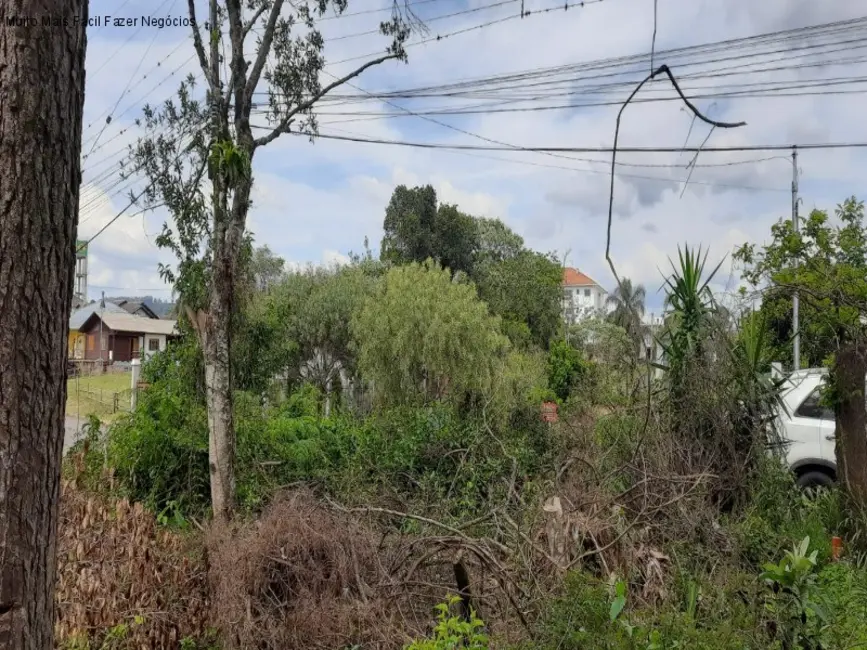 Foto 2 de Terreno / Lote à venda, 613m2 em Nova Petropolis - RS