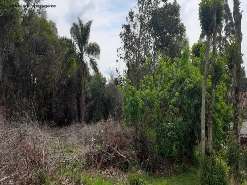 Terreno / Lote à venda, 613m2 em Nova Petropolis - RS - imagem 5 Foto 5 de Terreno / Lote à venda, 613m2 em Nova Petropolis - RS