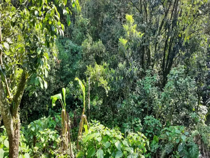 Foto 5 de Terreno / Lote com 3 quartos à venda, 160m2 em Nova Petropolis - RS