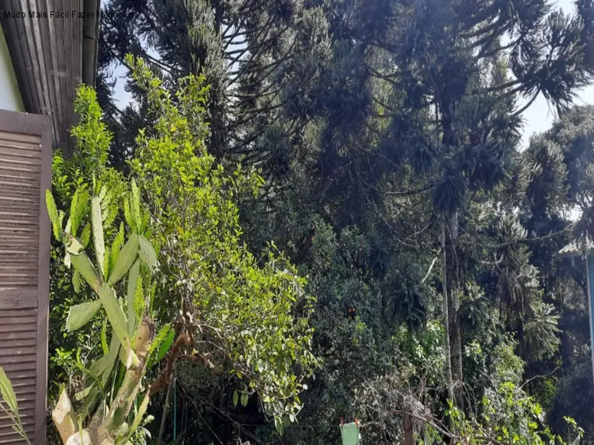 Foto 3 de Terreno / Lote com 3 quartos à venda, 160m2 em Nova Petropolis - RS