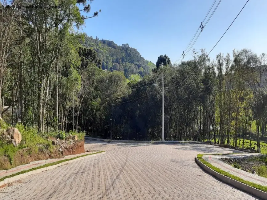 Terreno / Lote à venda, 360m2 em Nova Petropolis - RS - imagem 5 Foto 5 de Terreno / Lote à venda, 360m2 em Nova Petropolis - RS