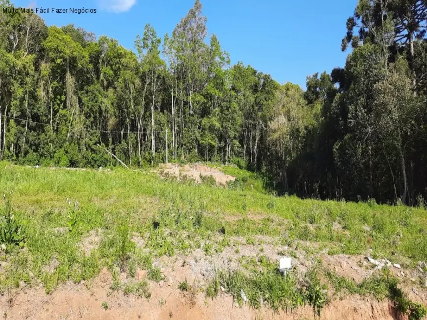 Terreno / Lote à venda, 360m2 em Nova Petropolis - RS - imagem 3 Foto 3 de Terreno / Lote à venda, 360m2 em Nova Petropolis - RS