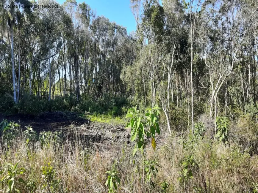 Foto 2 de Terreno / Lote à venda, 371m2 em Nova Petropolis - RS