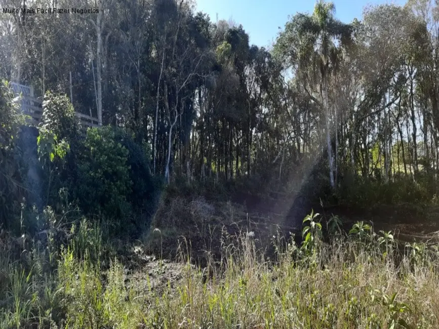 Foto 1 de Terreno / Lote à venda, 371m2 em Nova Petropolis - RS