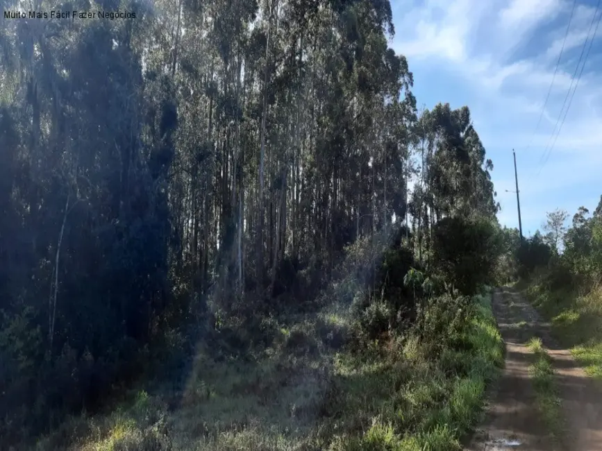 Terreno / Lote à venda em Nova Petropolis - RS - imagem 2 Foto 2 de Terreno / Lote à venda em Nova Petropolis - RS
