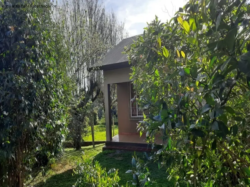 Foto 3 de Sítio / Rancho com 4 quartos à venda, 130m2 em Nova Petropolis - RS