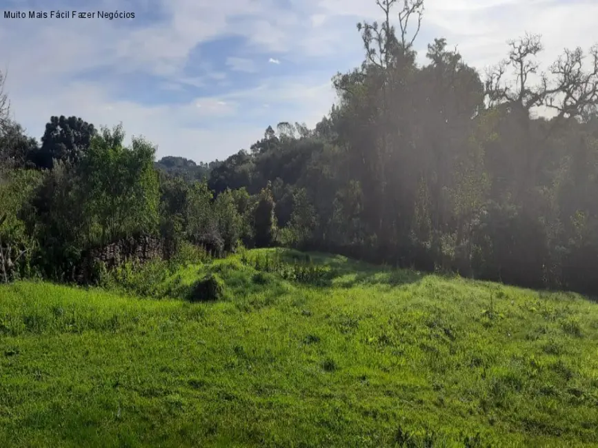 Foto 9 de Sítio / Rancho com 4 quartos à venda, 130m2 em Nova Petropolis - RS