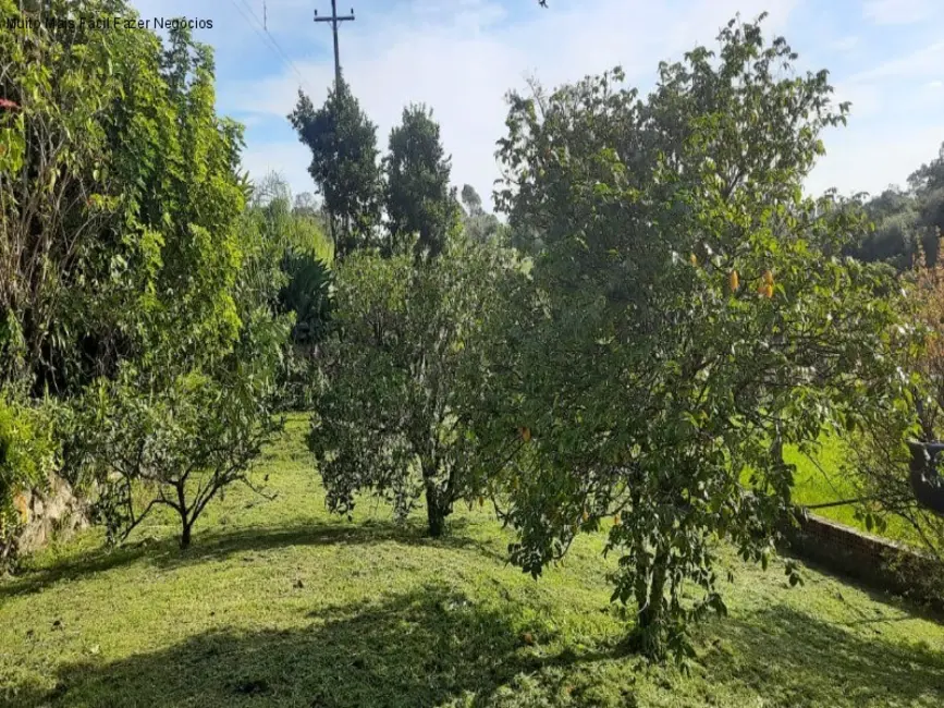 Foto 6 de Sítio / Rancho com 4 quartos à venda, 130m2 em Nova Petropolis - RS