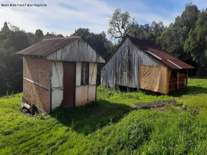 Foto 5 de Sítio / Rancho com 4 quartos à venda, 130m2 em Nova Petropolis - RS