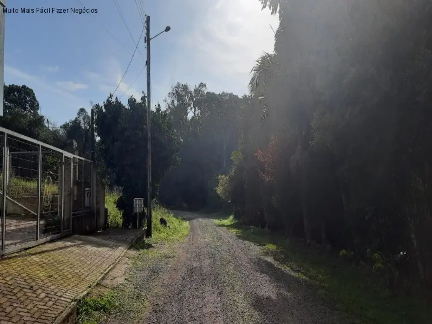 Foto 6 de Casa com 5 quartos à venda, 251m2 em Nova Petropolis - RS