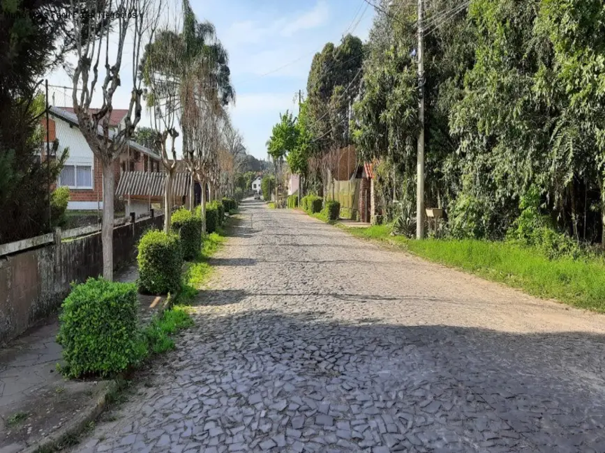 Casa com 4 quartos à venda, 254m2 em Nova Petropolis - RS - imagem 3 Foto 3 de Casa com 4 quartos à venda, 254m2 em Nova Petropolis - RS