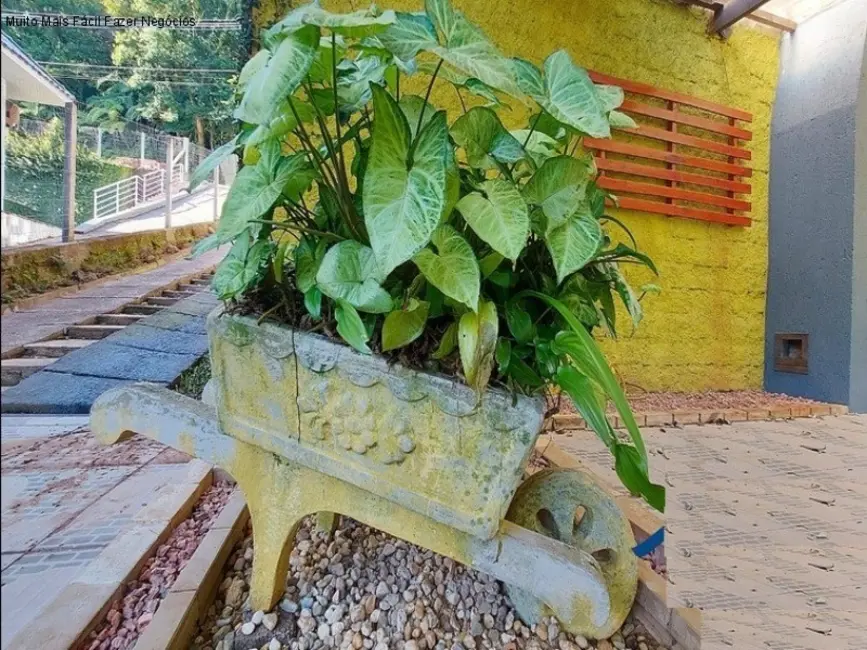 Casa com 3 quartos à venda, 140m2 em Nova Petropolis - RS - imagem 4 Foto 4 de Casa com 3 quartos à venda, 140m2 em Nova Petropolis - RS