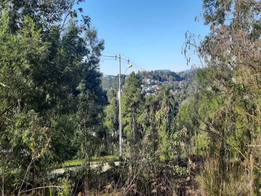 Terreno / Lote à venda, 387m2 em Nova Petropolis - RS - imagem 5 Foto 5 de Terreno / Lote à venda, 387m2 em Nova Petropolis - RS