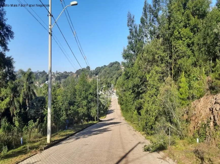 Terreno / Lote à venda, 387m2 em Nova Petropolis - RS - imagem 8 Foto 8 de Terreno / Lote à venda, 387m2 em Nova Petropolis - RS