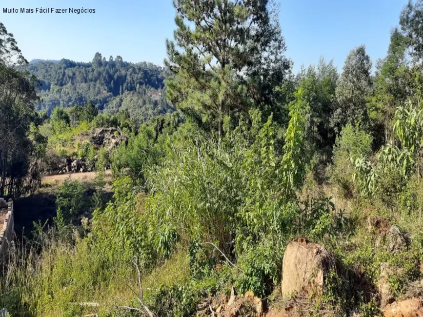 Foto 2 de Terreno / Lote à venda, 410m2 em Nova Petropolis - RS
