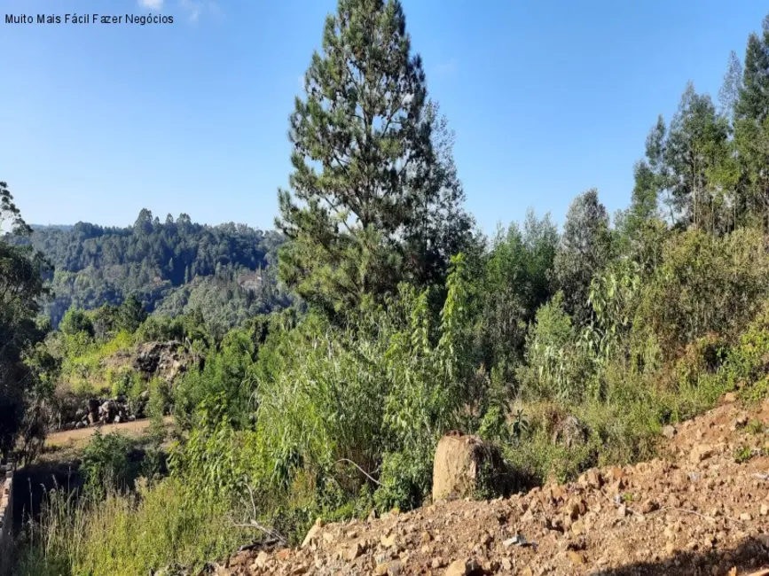 Foto 1 de Terreno / Lote à venda, 410m2 em Nova Petropolis - RS