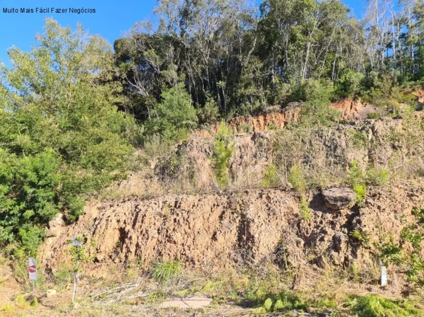 Foto 2 de Terreno / Lote à venda, 392m2 em Nova Petropolis - RS