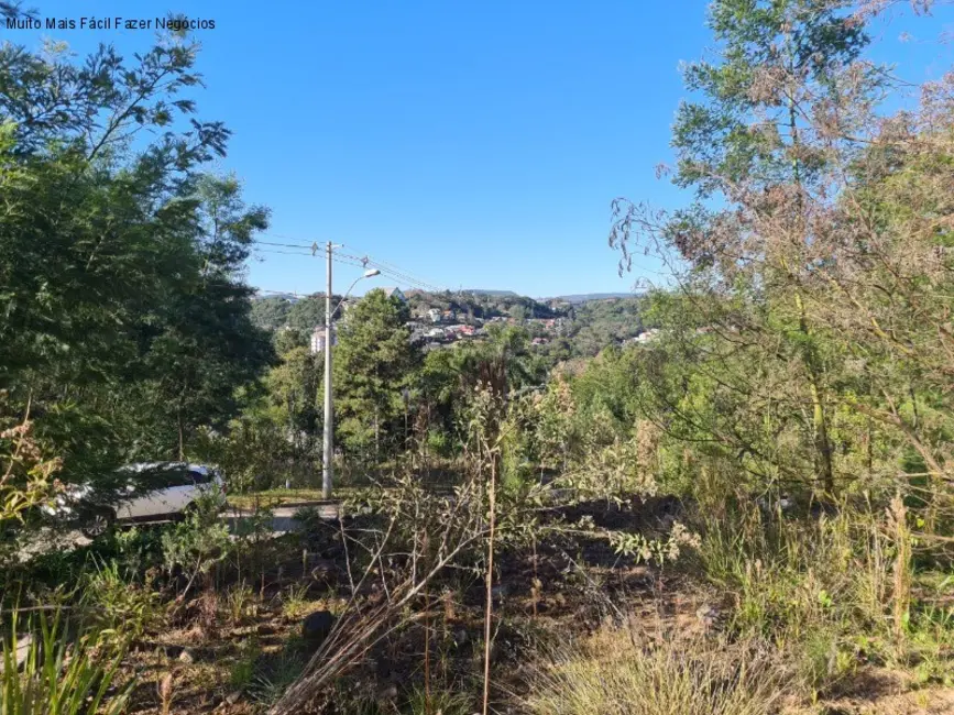 Foto 1 de Terreno / Lote à venda, 392m2 em Nova Petropolis - RS