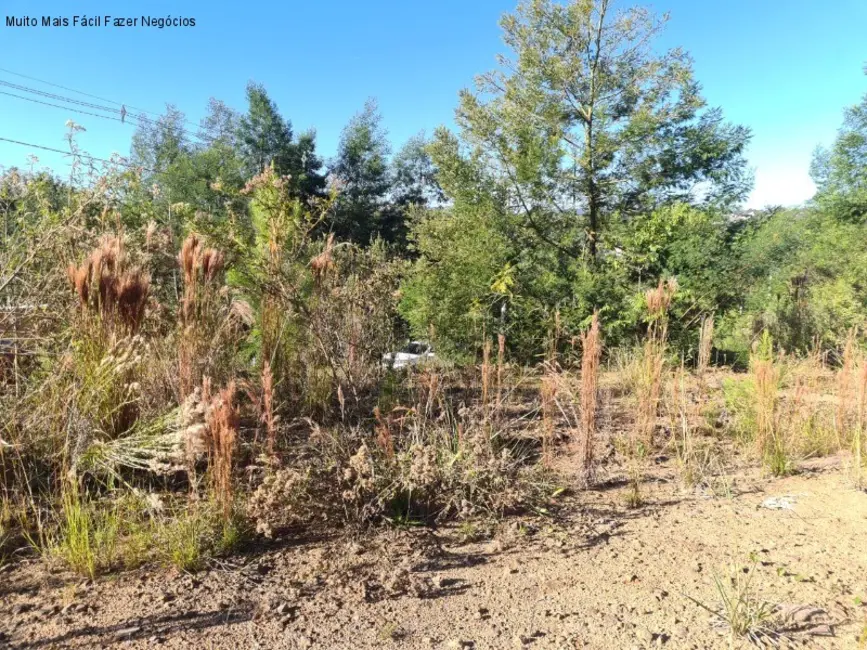 Foto 1 de Terreno / Lote à venda, 390m2 em Nova Petropolis - RS