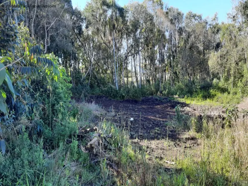 Foto 1 de Terreno / Lote à venda, 371m2 em Nova Petropolis - RS