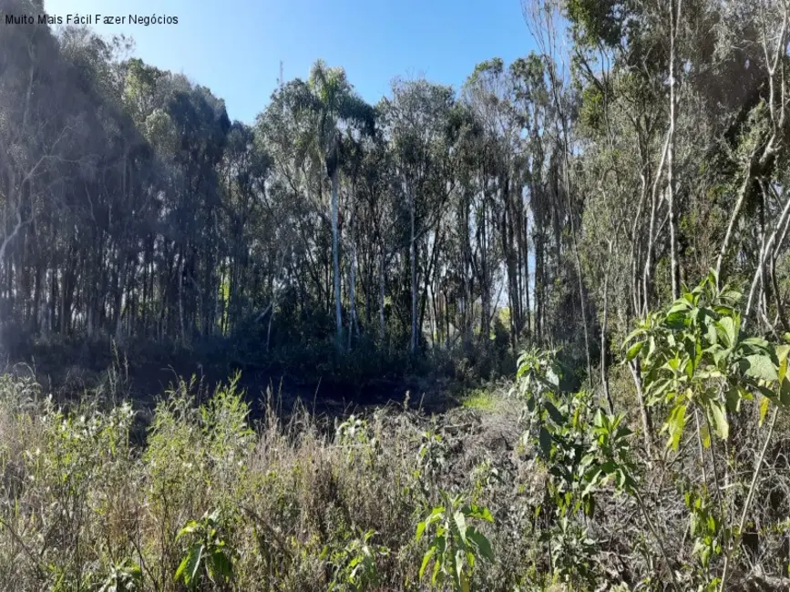 Foto 2 de Terreno / Lote à venda, 371m2 em Nova Petropolis - RS