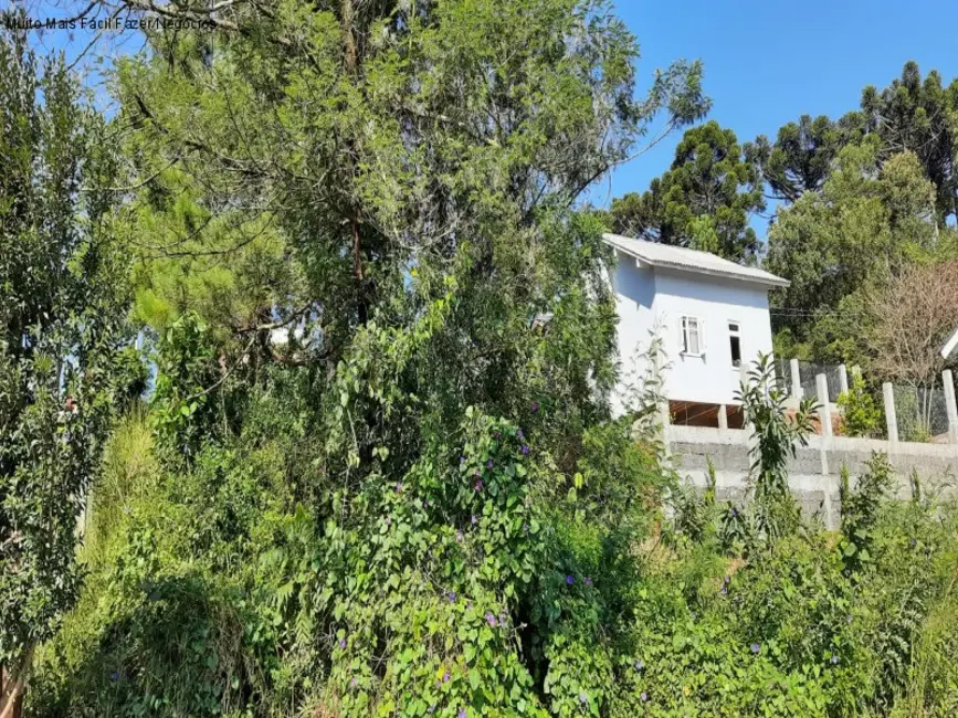 Terreno / Lote à venda, 538m2 em Nova Petropolis - RS - imagem 3 Foto 3 de Terreno / Lote à venda, 538m2 em Nova Petropolis - RS