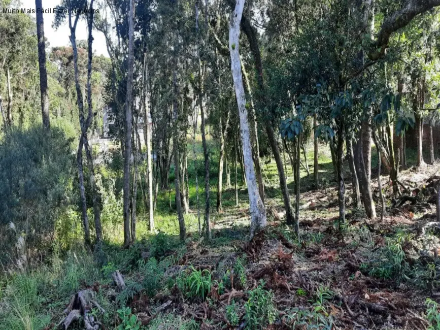 Foto 2 de Terreno / Lote à venda, 811m2 em Nova Petropolis - RS