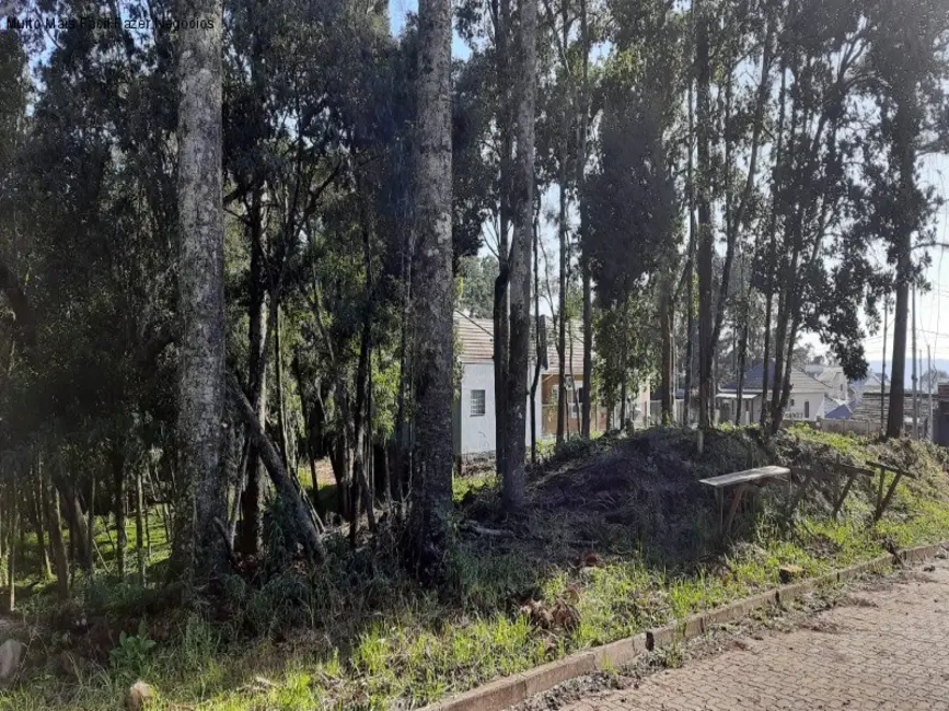 Foto 1 de Terreno / Lote à venda, 811m2 em Nova Petropolis - RS