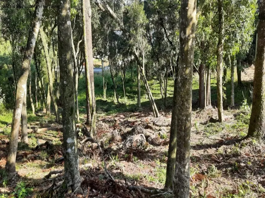 Foto 2 de Terreno / Lote à venda, 811m2 em Nova Petropolis - RS