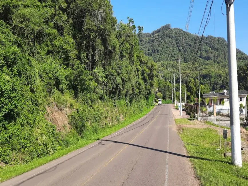 Terreno / Lote à venda, 700m2 em Picada Cafe - RS - imagem 5 Foto 5 de Terreno / Lote à venda, 700m2 em Picada Cafe - RS