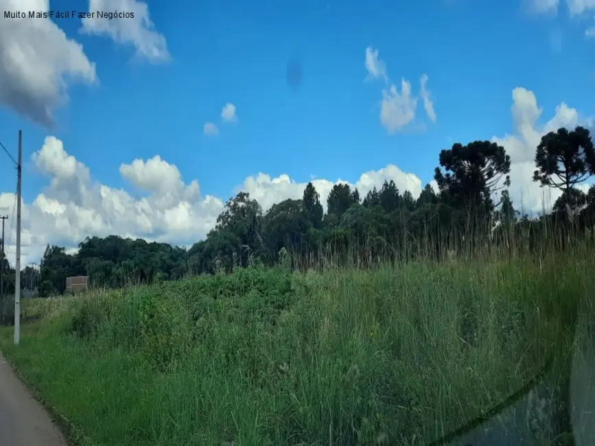 Terreno / Lote à venda, 12438m2 em Nova Petropolis - RS - imagem 6 Foto 6 de Terreno / Lote à venda, 12438m2 em Nova Petropolis - RS